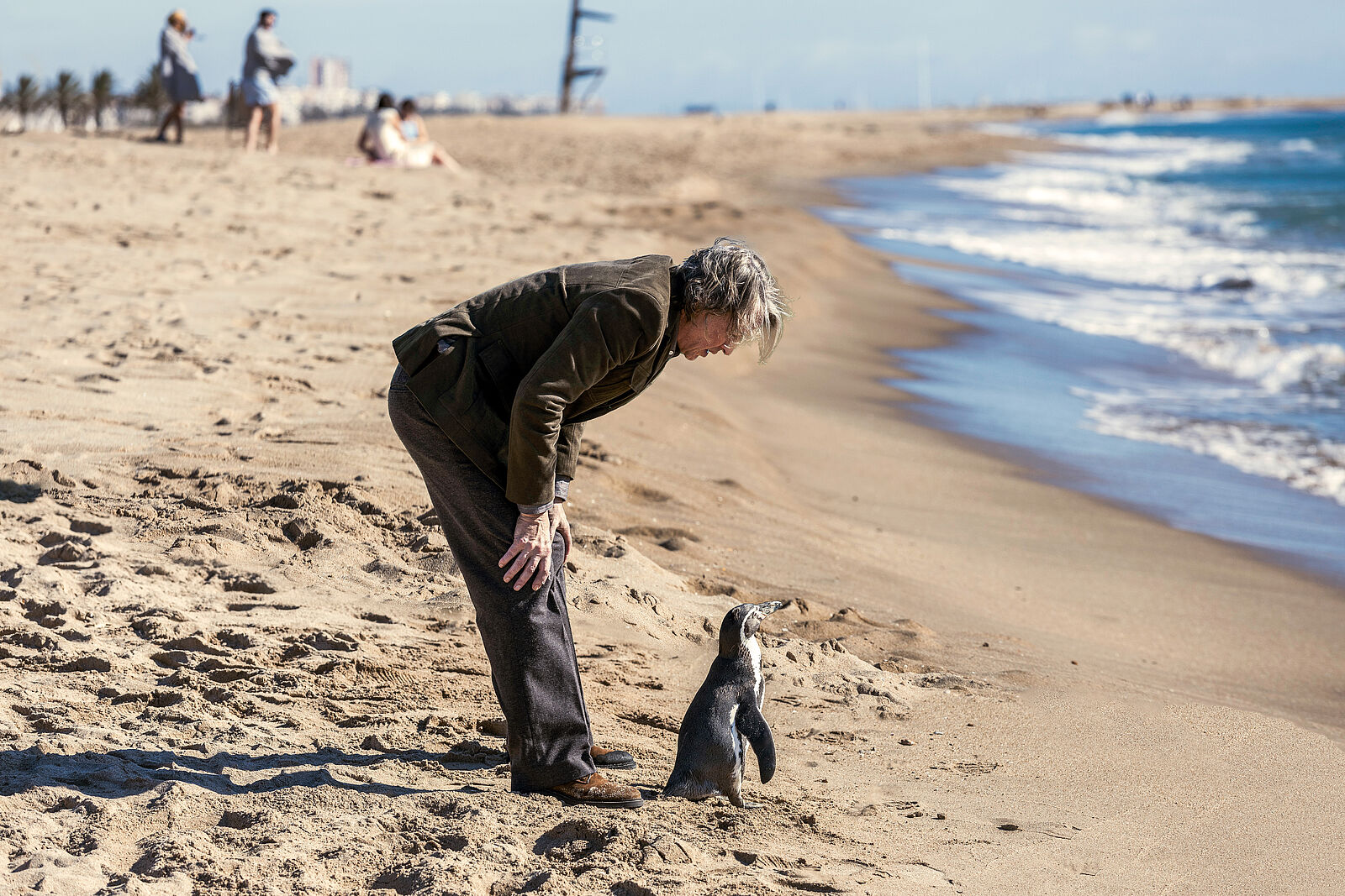 THE PENGUIN LESSONS - Bild 8