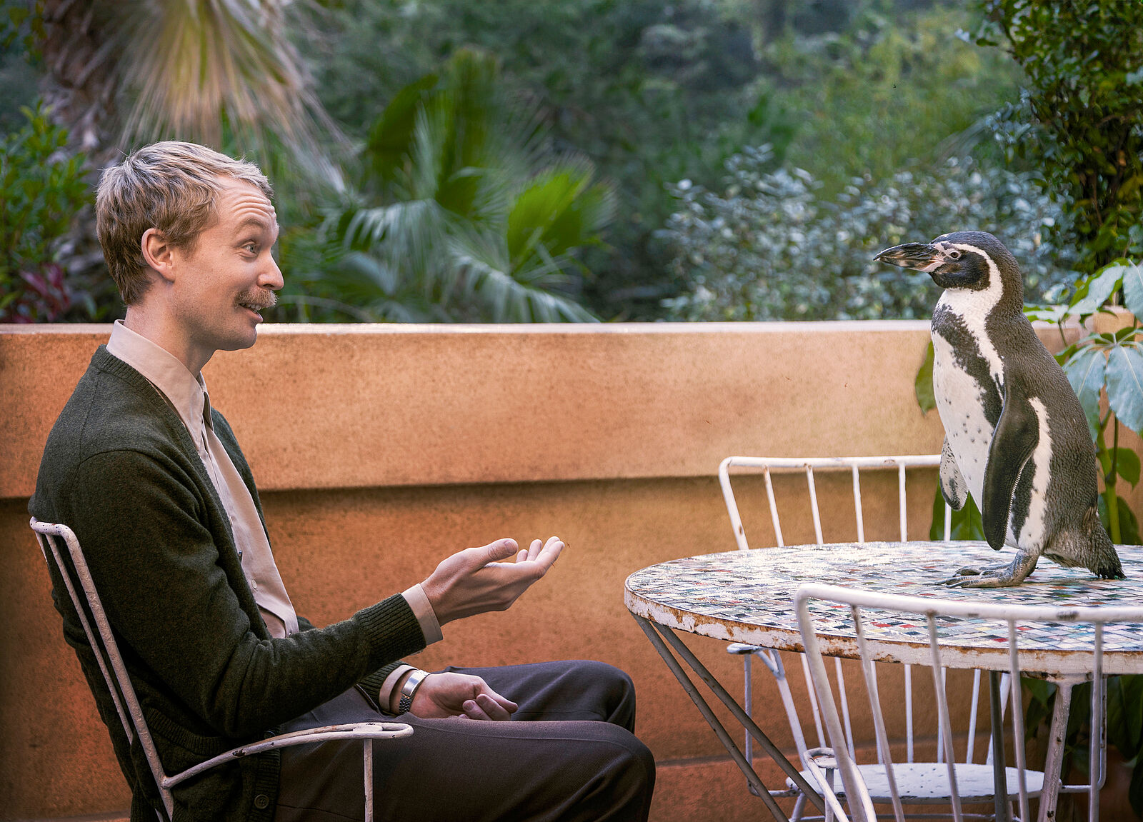 THE PENGUIN LESSONS - Bild 5